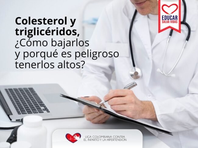 Niveles recomendados de colesterol